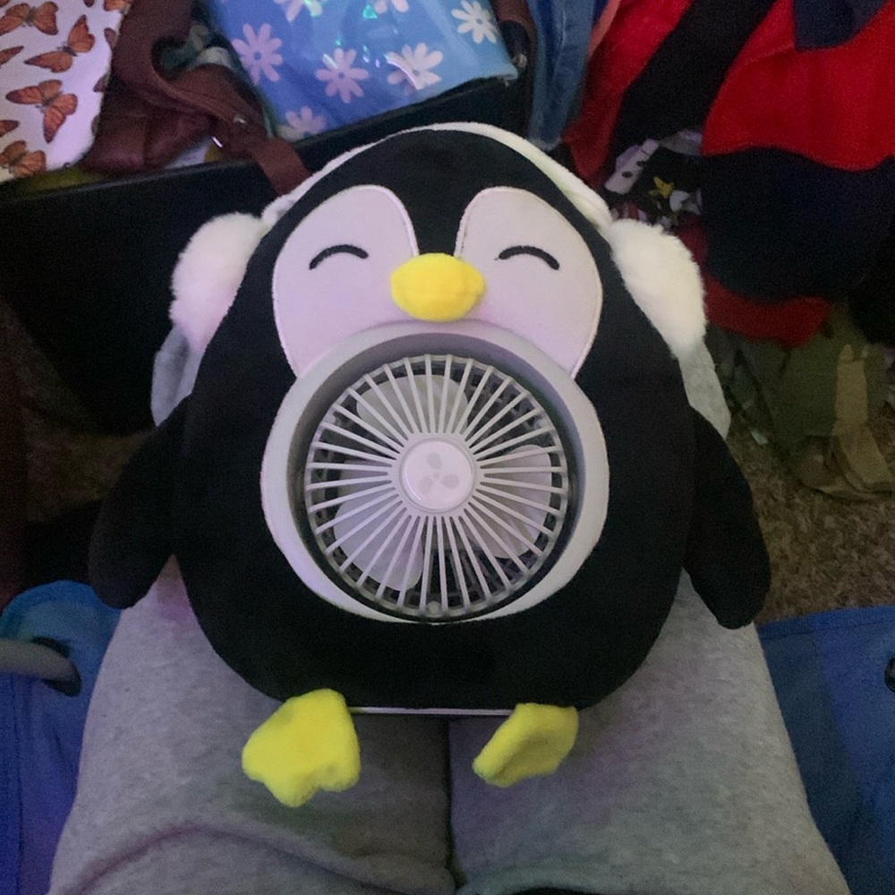 a penguin fan, fan rotates. takes batteries